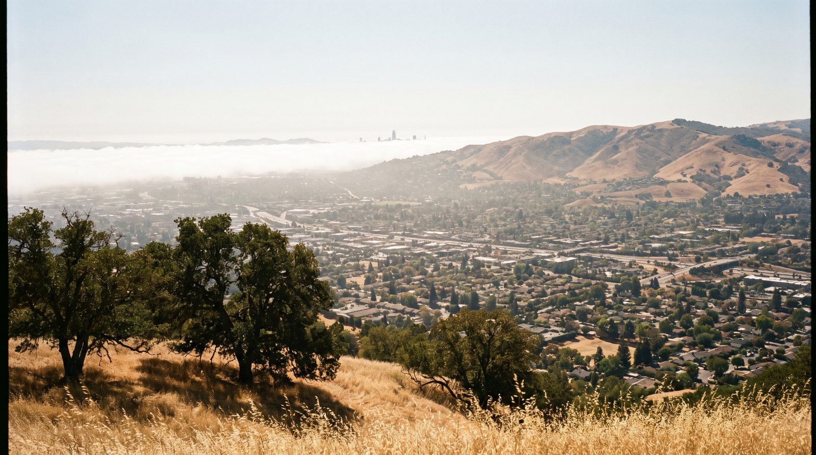 Bay Area heat wave view from Mount Diablo over a hazy Walnut Creek valley toward fog covering San Francisco Bay