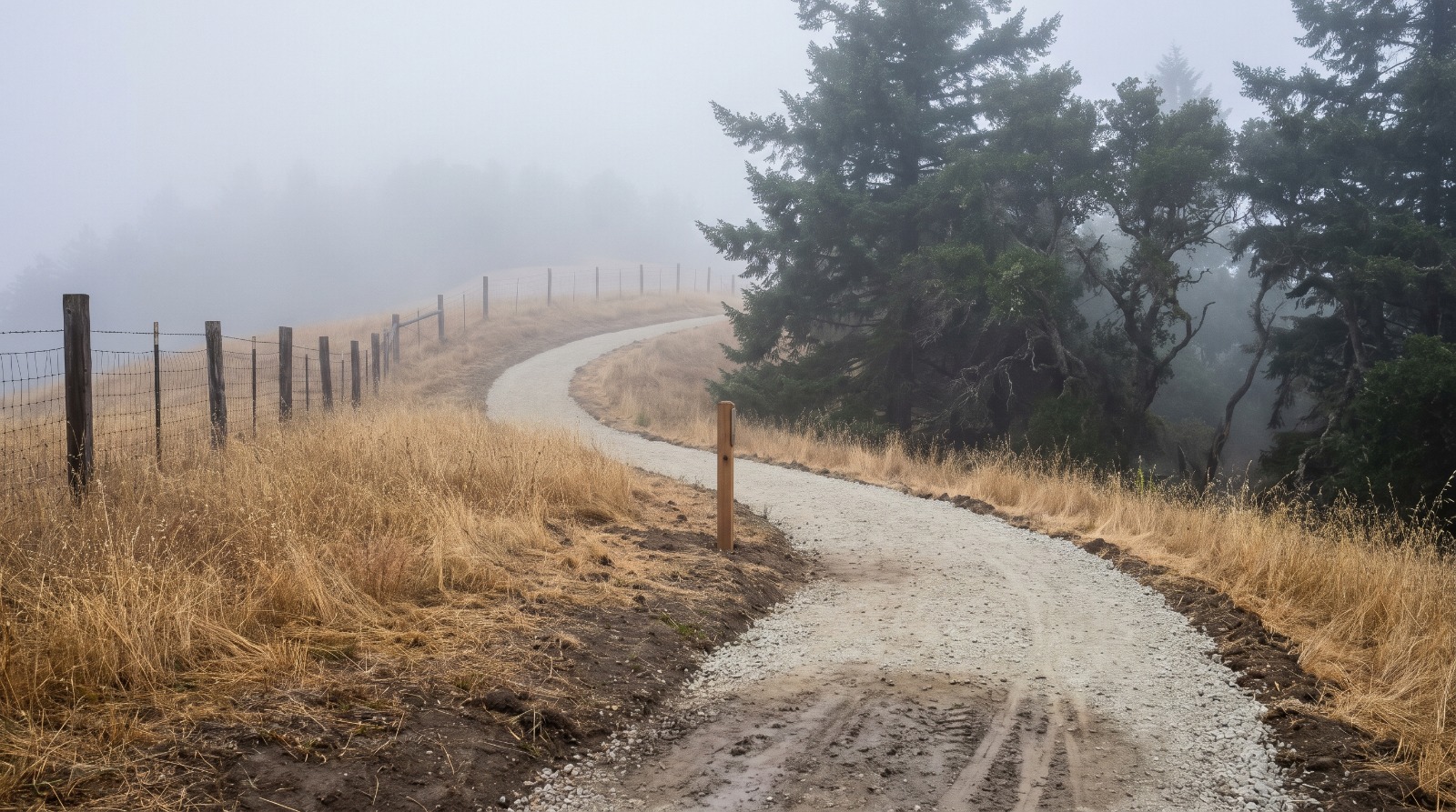 The new crushed-gravel Skyline Watershed Ridge Trail curving along a foggy ridge in the San Francisco Peninsula Watershed above Skyline Boulevard.