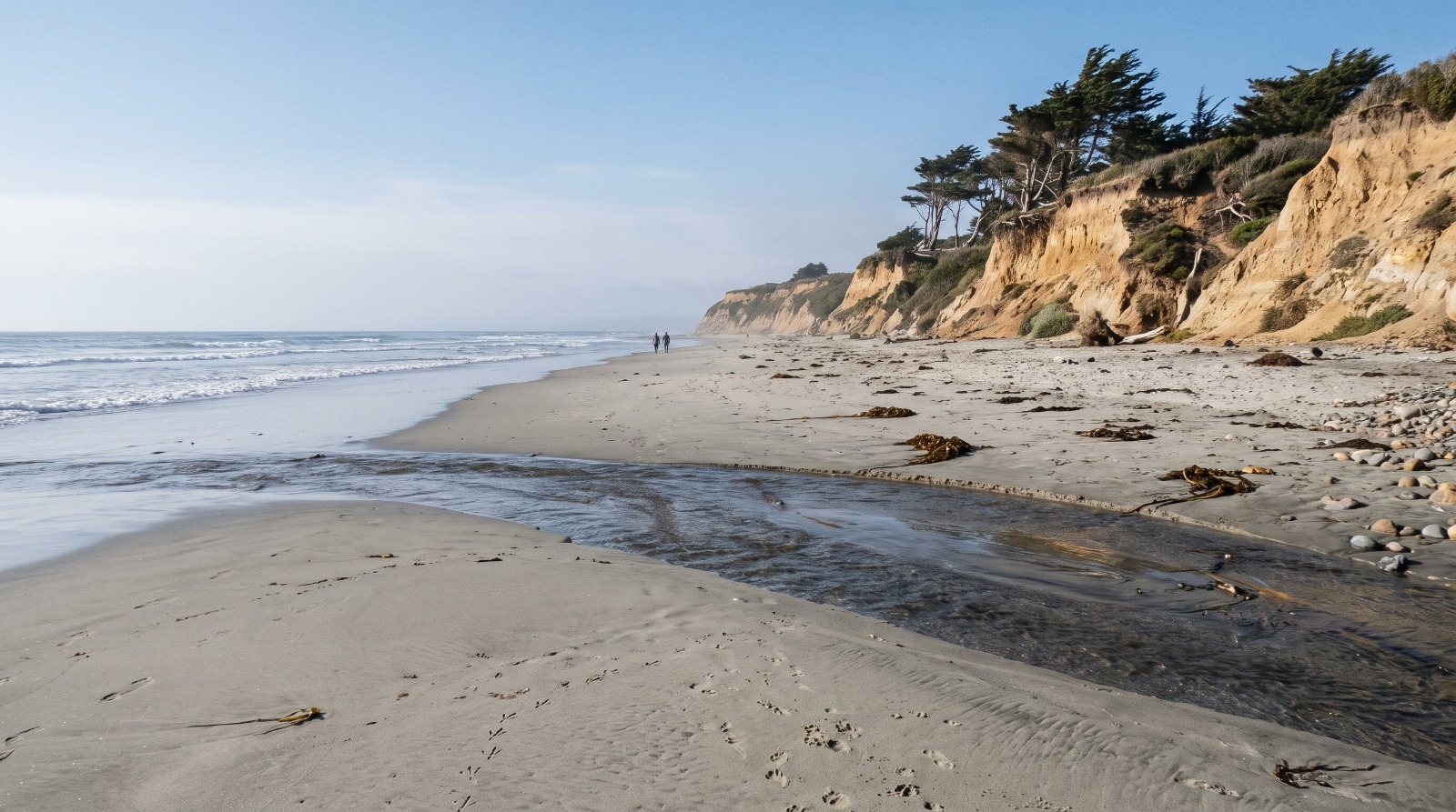 Tunitas Creek Beach on the San Mateo County coast, where Don Horsley County Park opens to the public on August 17.