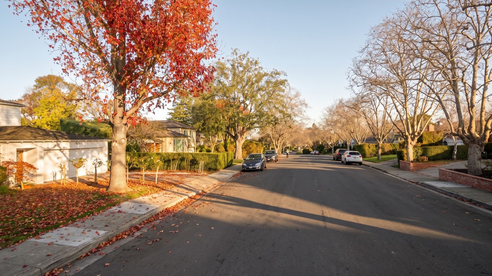 AI-rendered golden-hour view of Parrott Drive in San Mateo's Baywood neighborhood, single-family homes under autumn street trees