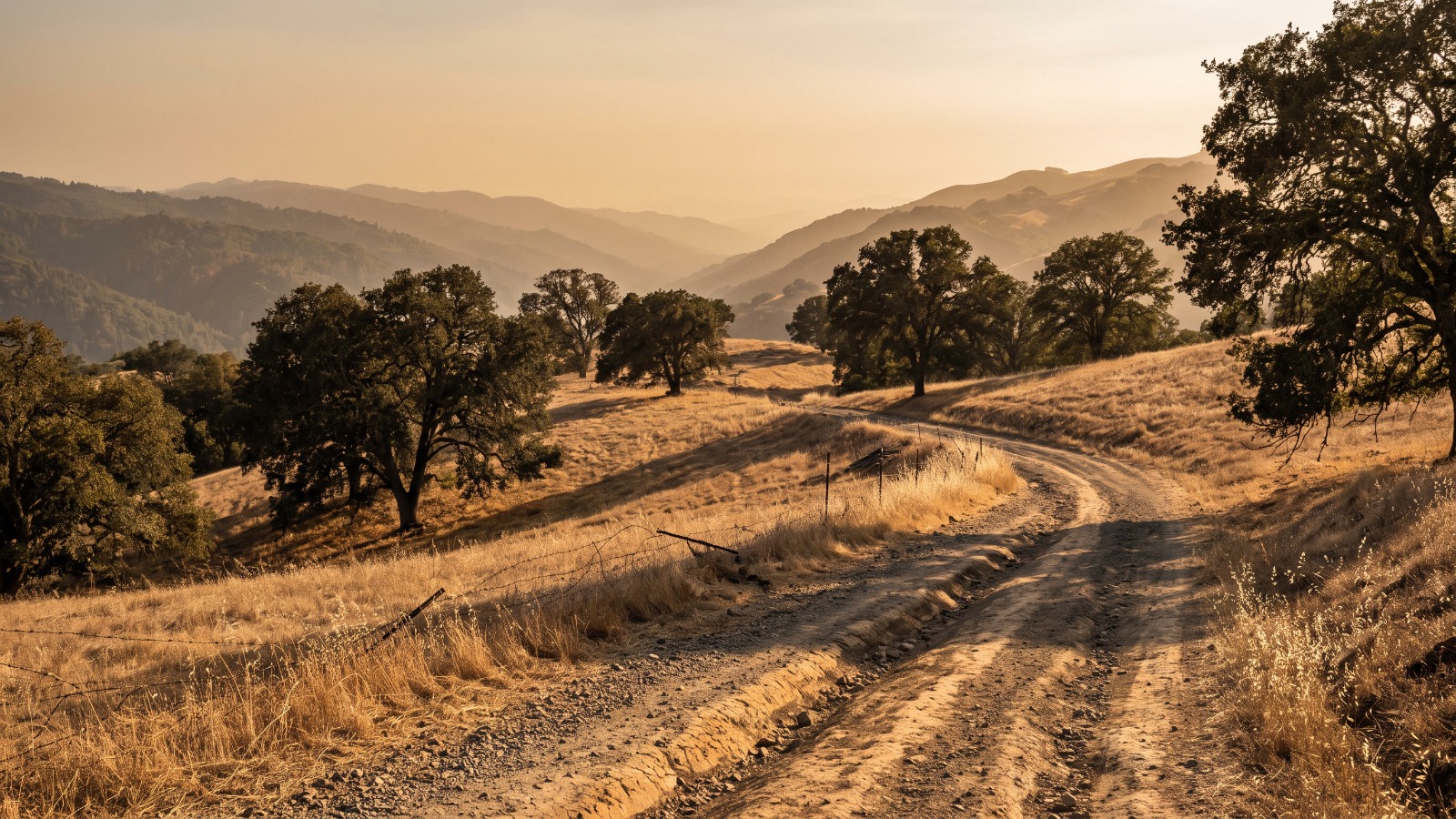 A dirt ranch road curving through golden oak-studded hills in Palomares Canyon above Castro Valley at golden hour.