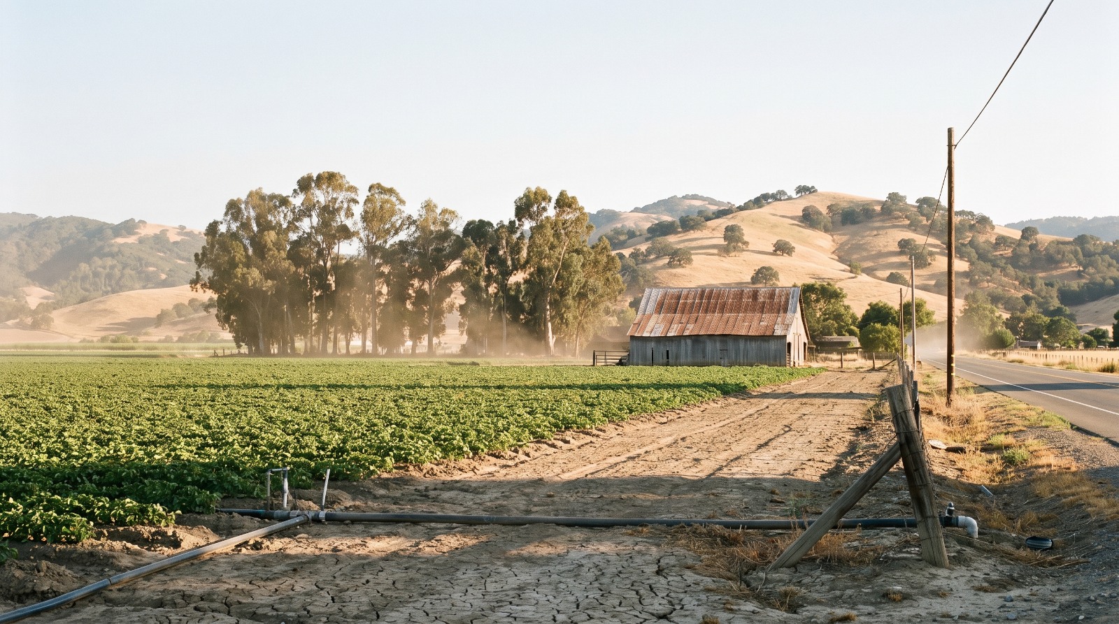 Farmland and a weathered barn along Hecker Pass Road in Gilroy, the site where a 116-home builder's remedy project is under environmental review.