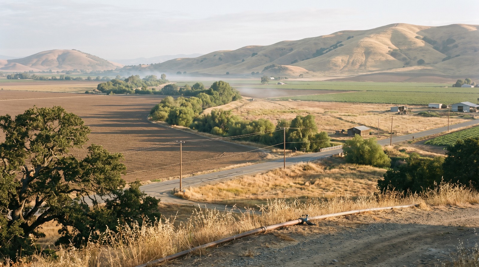 Coyote Valley open space farmland south of San Jose, with Fisher Creek willows and Coyote Ridge behind.