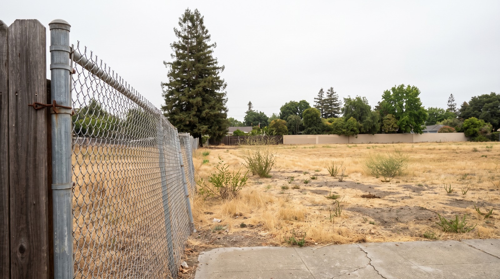 AI-rendered view of the fenced vacant lot at the end of Finch Avenue in Cupertino's Rancho Rinconada, with dry grass and a tall redwood