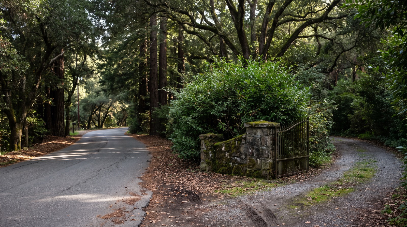 A gated private drive under oaks in Hillsborough, California, the town where a $78.8 million estate sale could be the Bay Area's biggest of 2026.