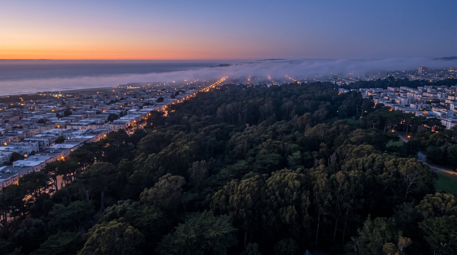Dusk view over the Golden Gate Park tree canopy toward the Outer Sunset row houses with marine fog rolling in over the western avenues.
