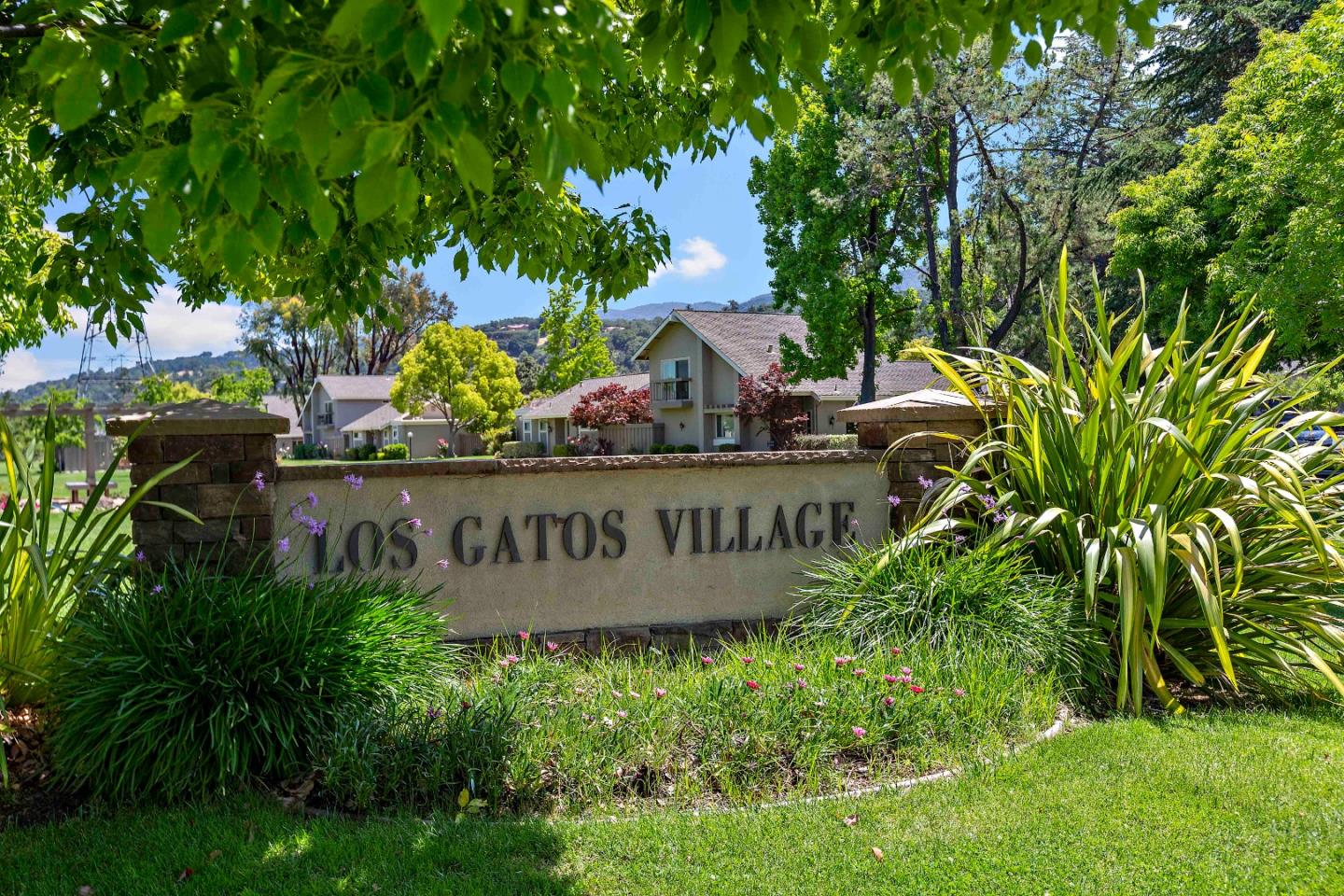 Neighborhood Neighborhood-19