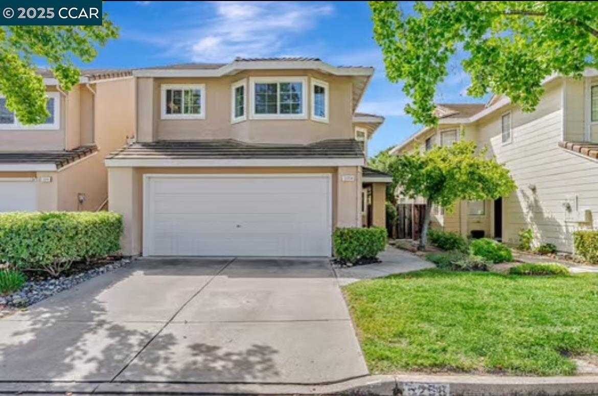 Neighborhood-1