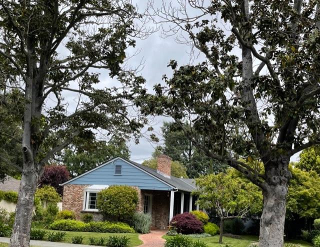 Neighborhood Neighborhood-64