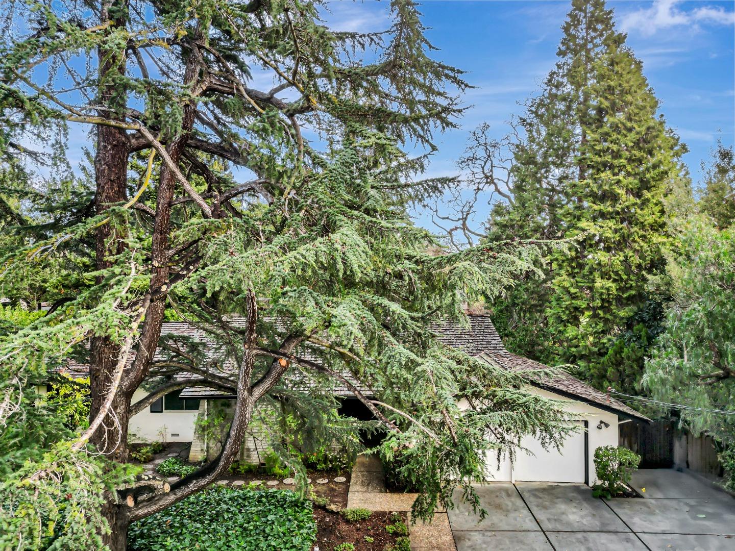 Neighborhood Neighborhood-18