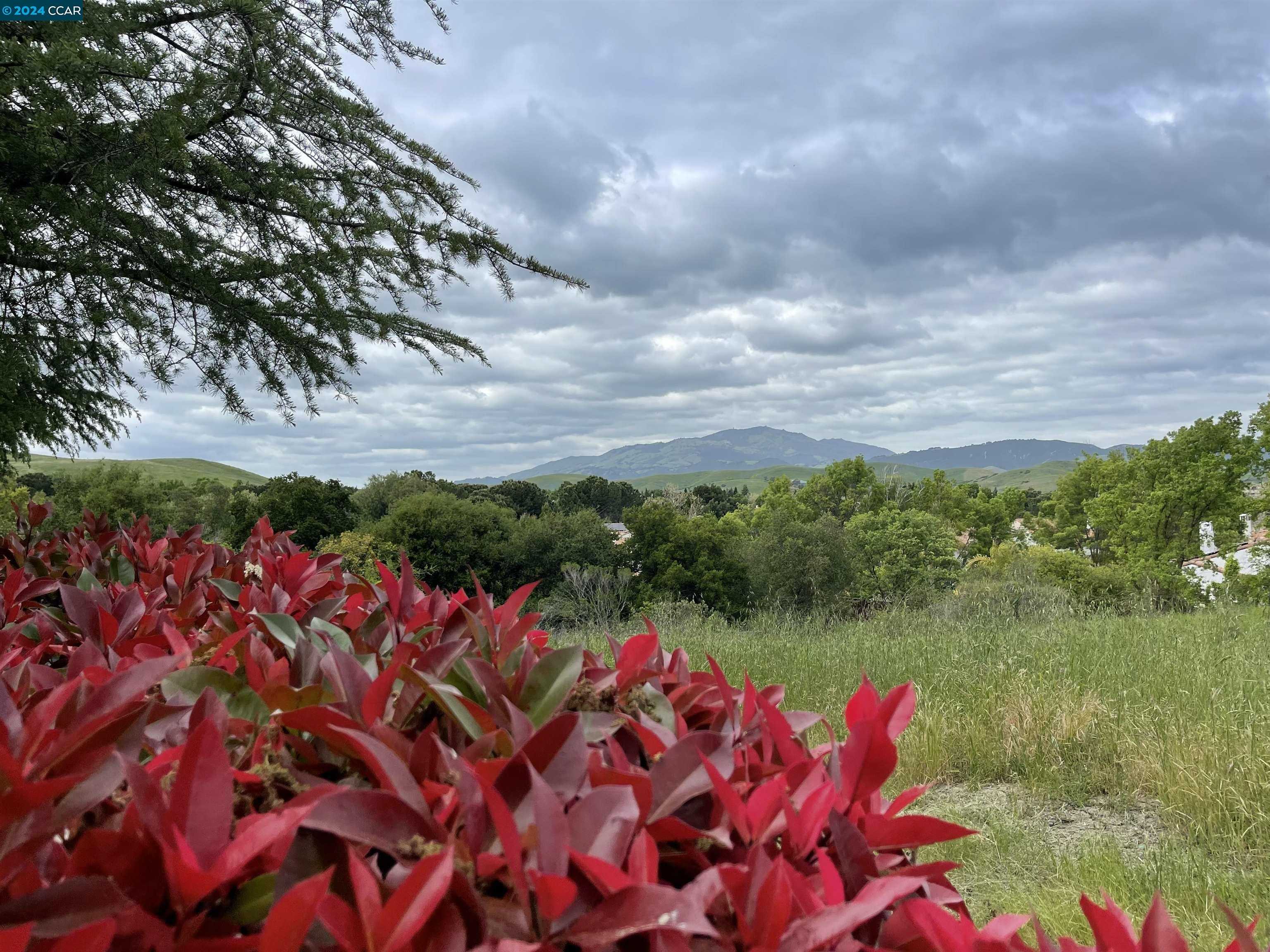 Neighborhood Neighborhood-15