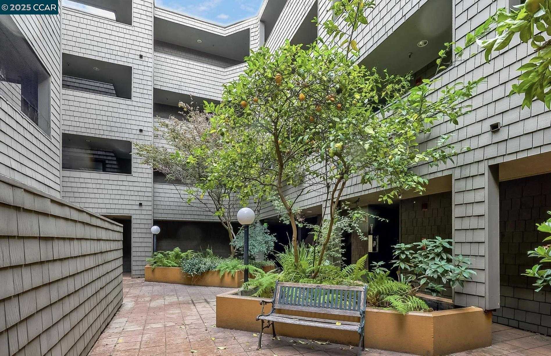 Neighborhood Neighborhood-11