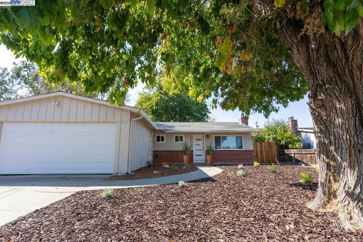 Neighborhood-19