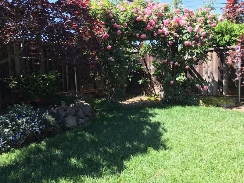 Neighborhood Neighborhood-145