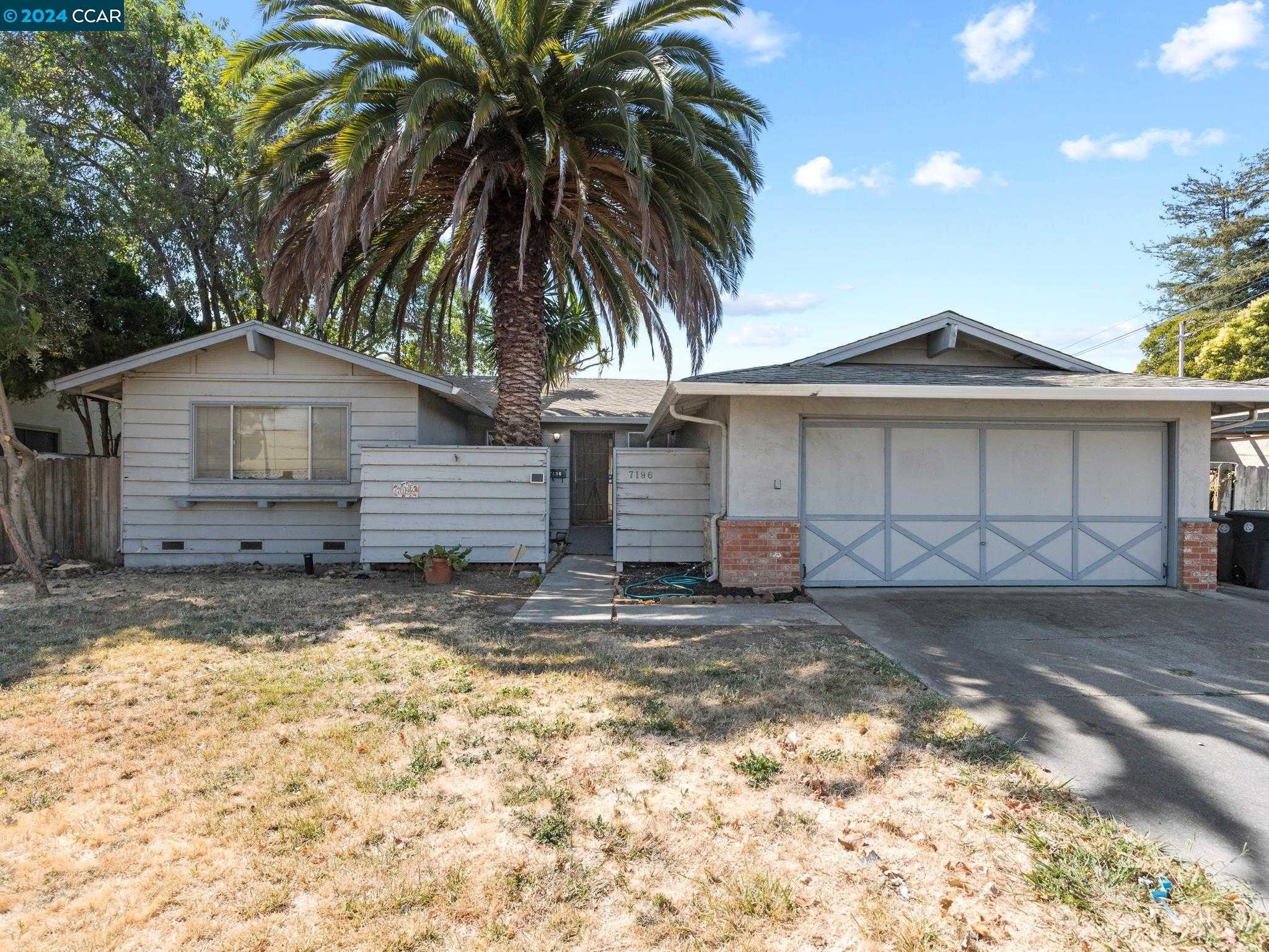 Neighborhood Neighborhood-19