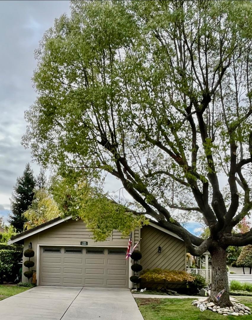 Neighborhood Neighborhood-79