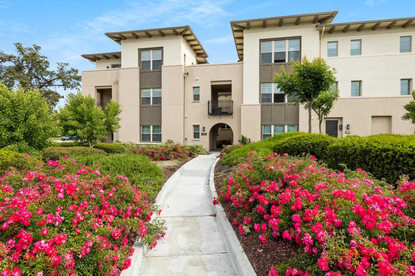 Neighborhood Neighborhood-11