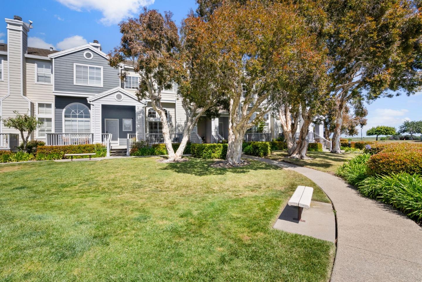 Neighborhood Neighborhood-50