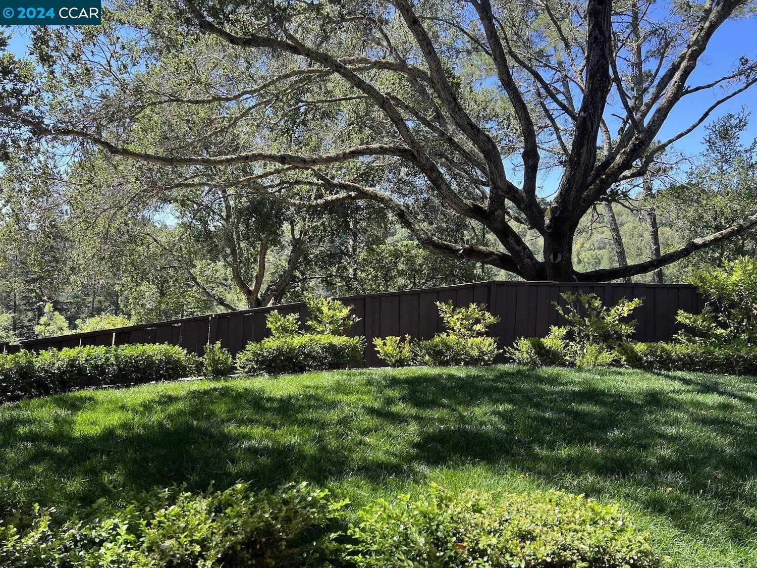 Neighborhood Neighborhood-19