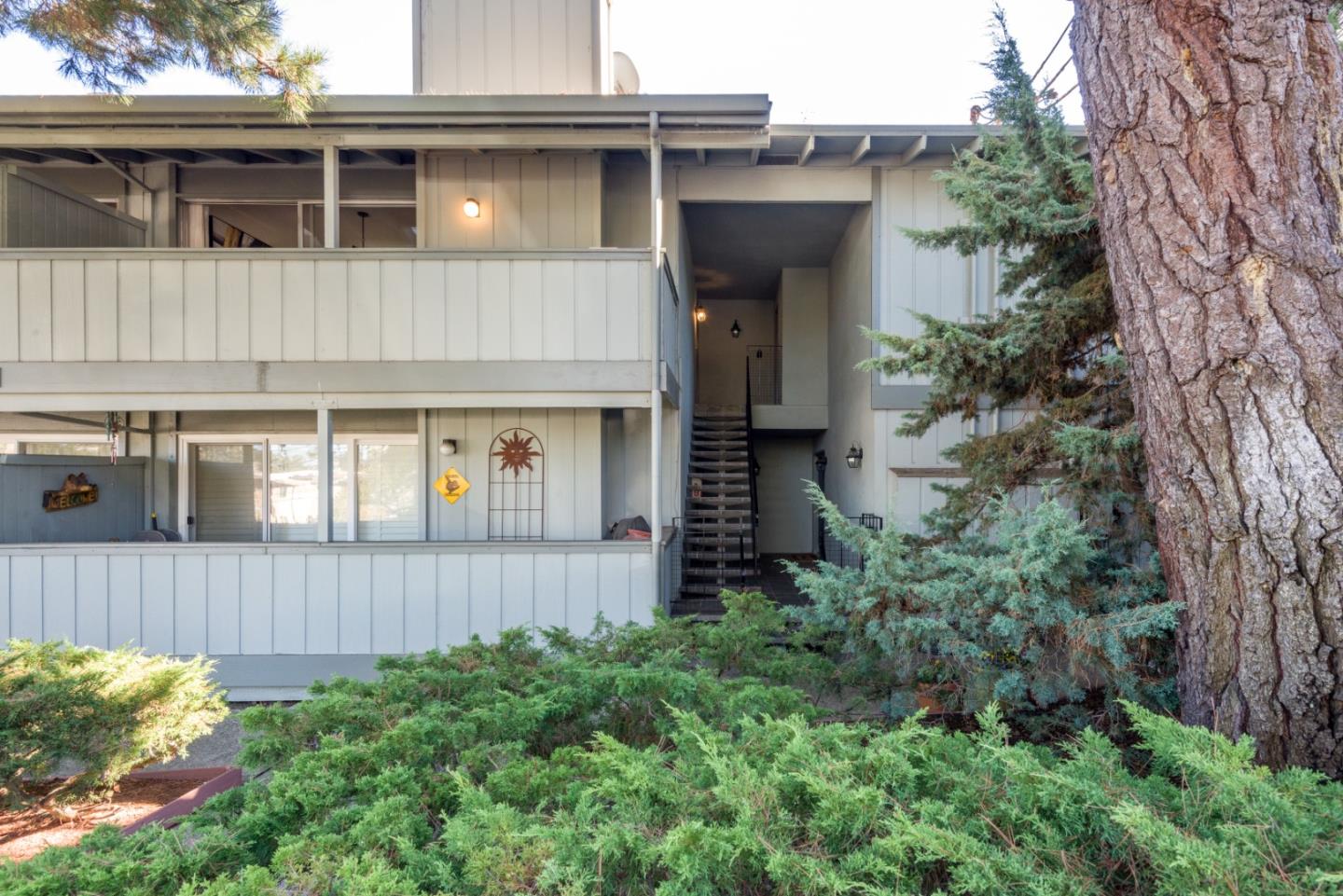 Neighborhood Neighborhood-8