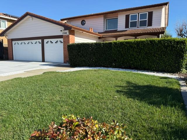 Neighborhood-17