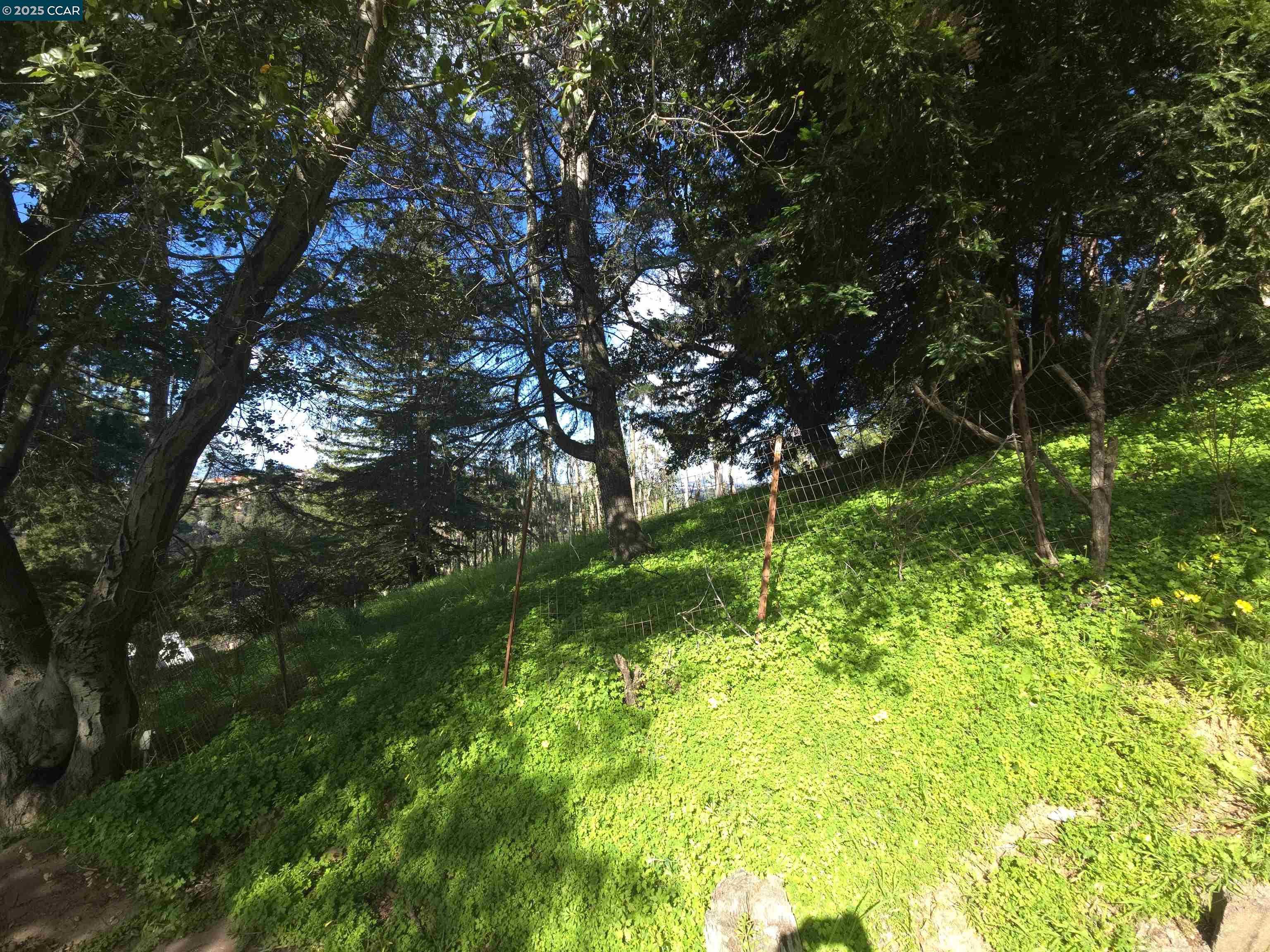 Neighborhood Neighborhood-3