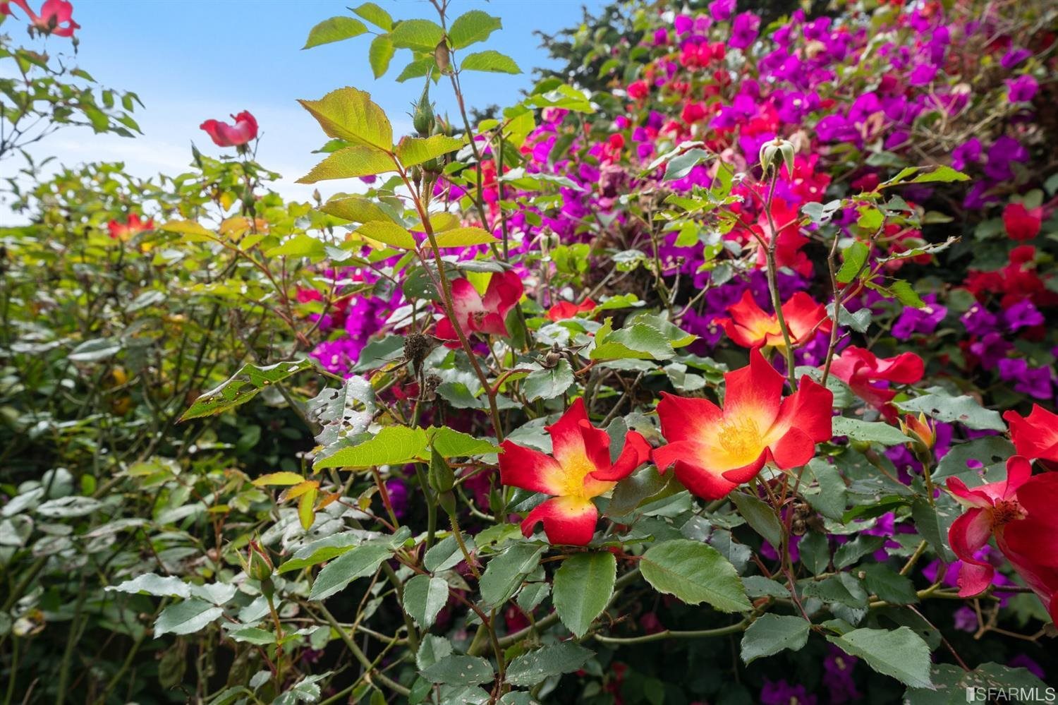 Neighborhood Neighborhood-172