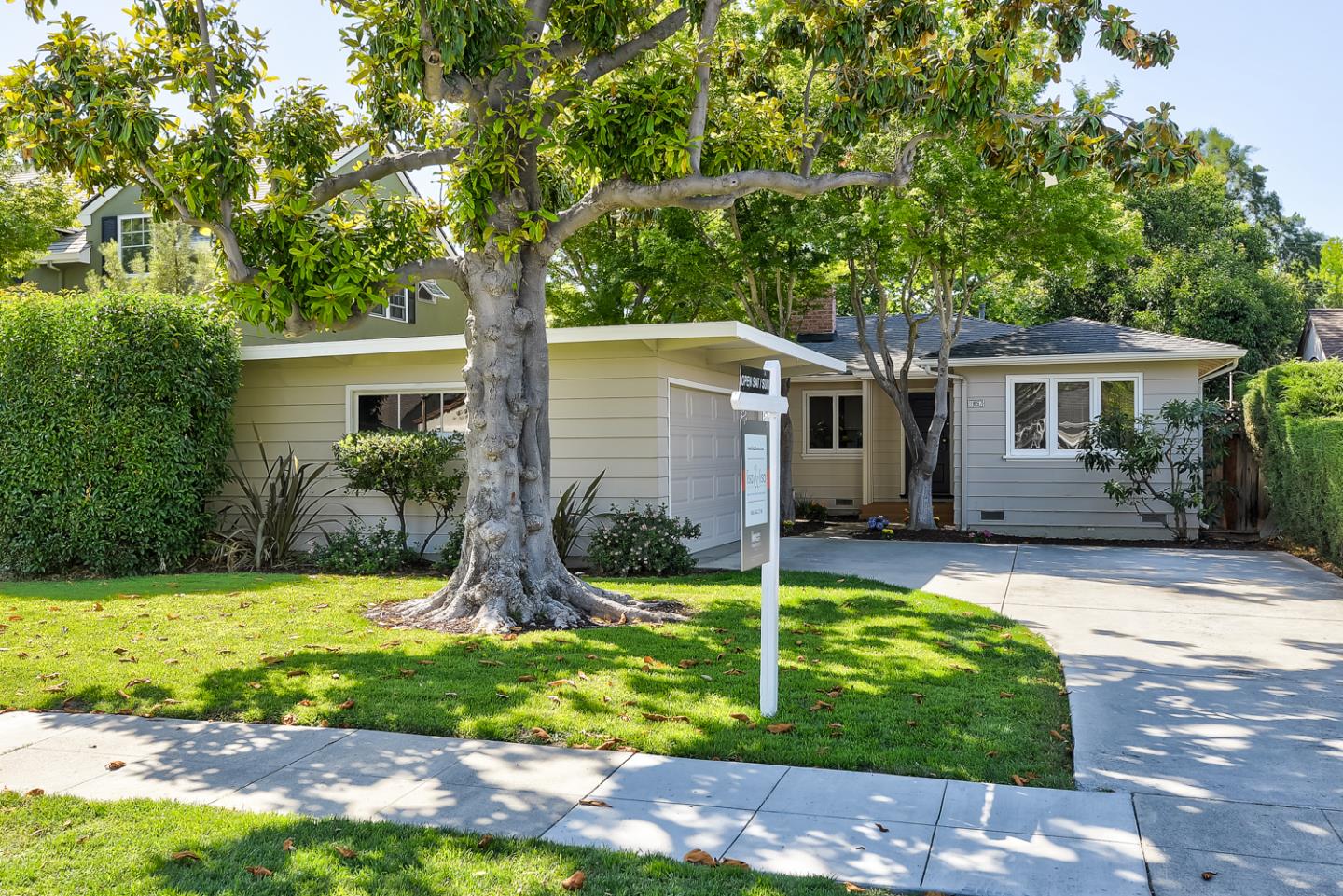 Neighborhood Neighborhood-100