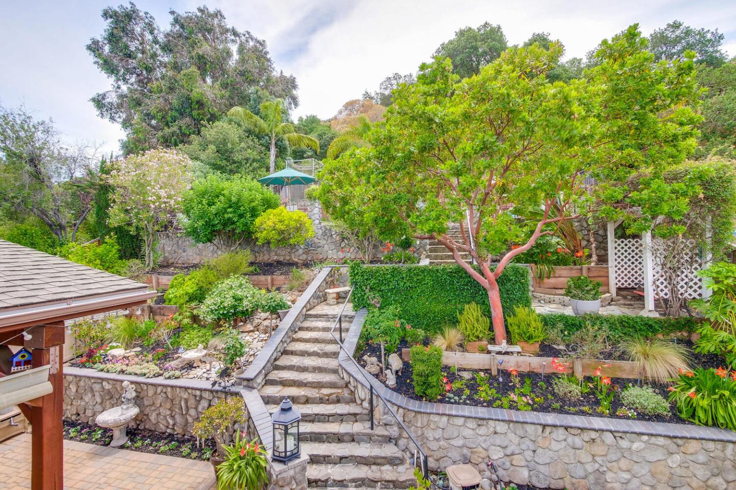 Neighborhood Neighborhood-31