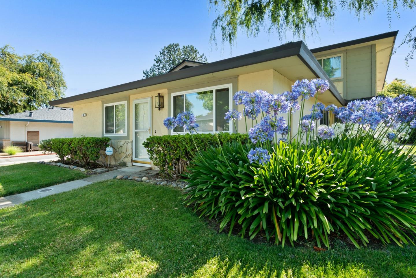 Neighborhood Neighborhood-8