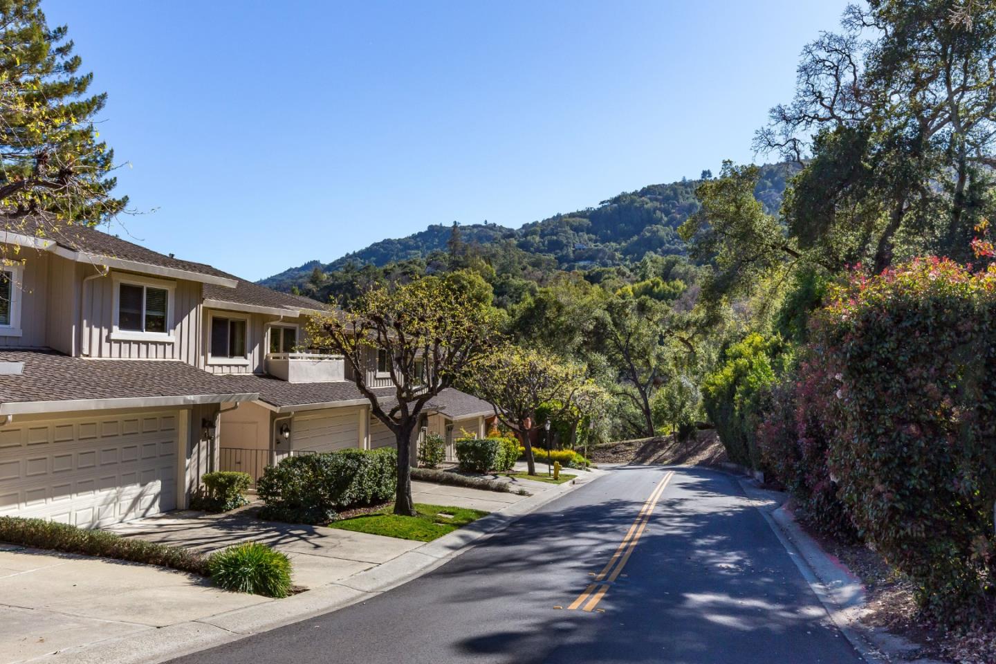 Saratoga-Oaks-Saratoga