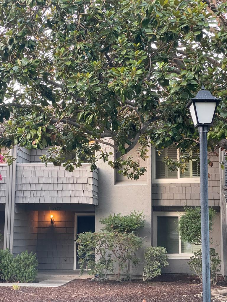 Neighborhood Neighborhood-30