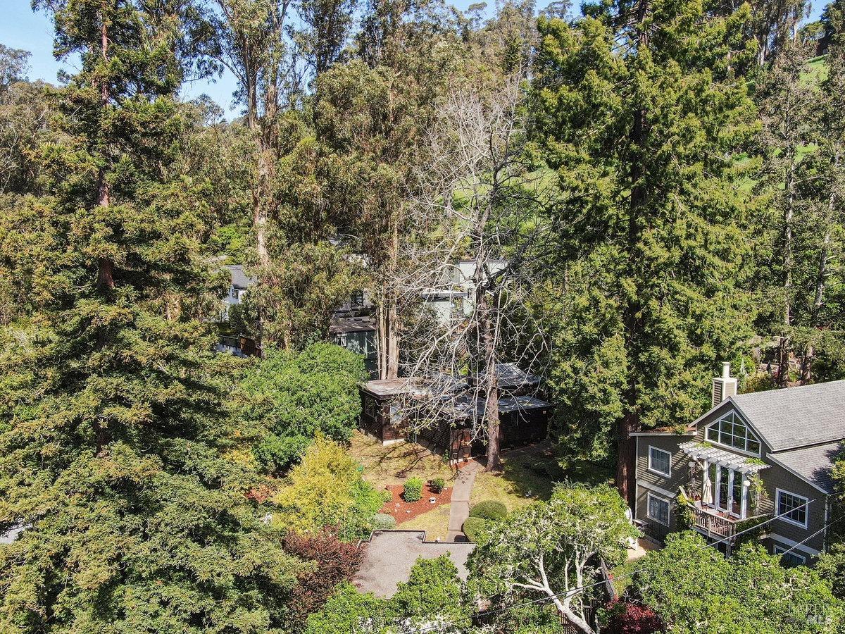 Homestead-Valley-Mill-Valley