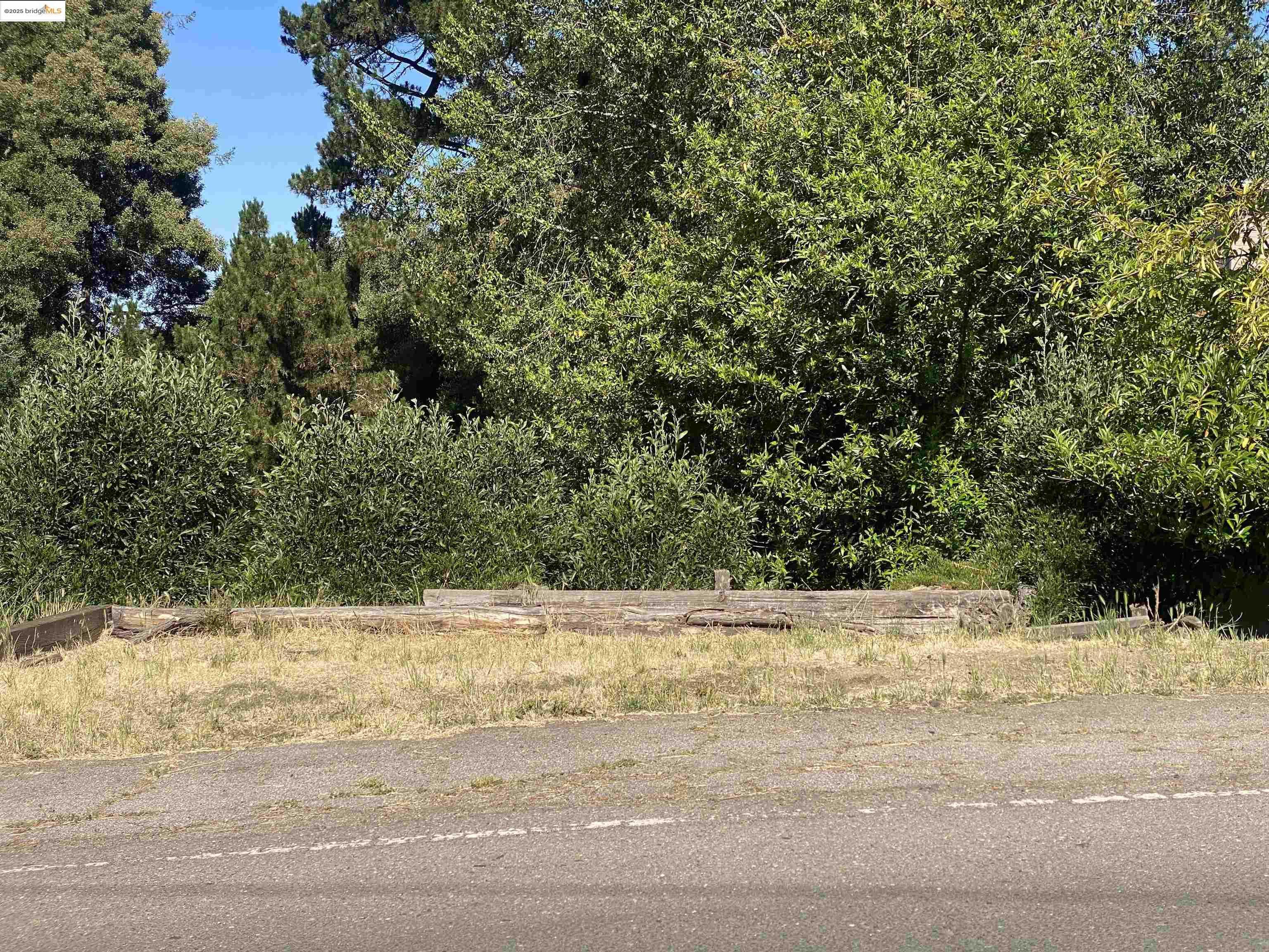 Neighborhood Neighborhood-3