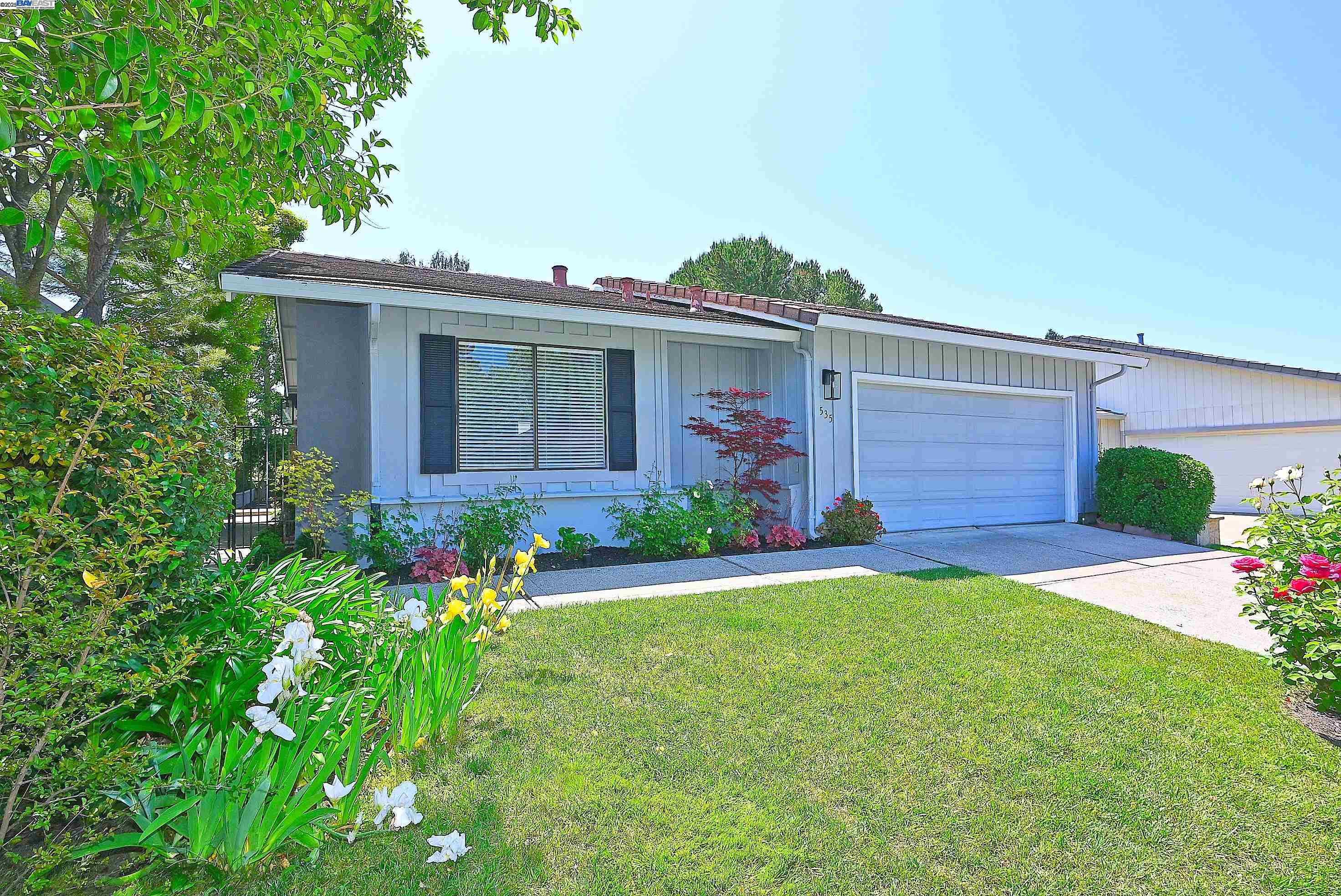 Neighborhood Neighborhood-27