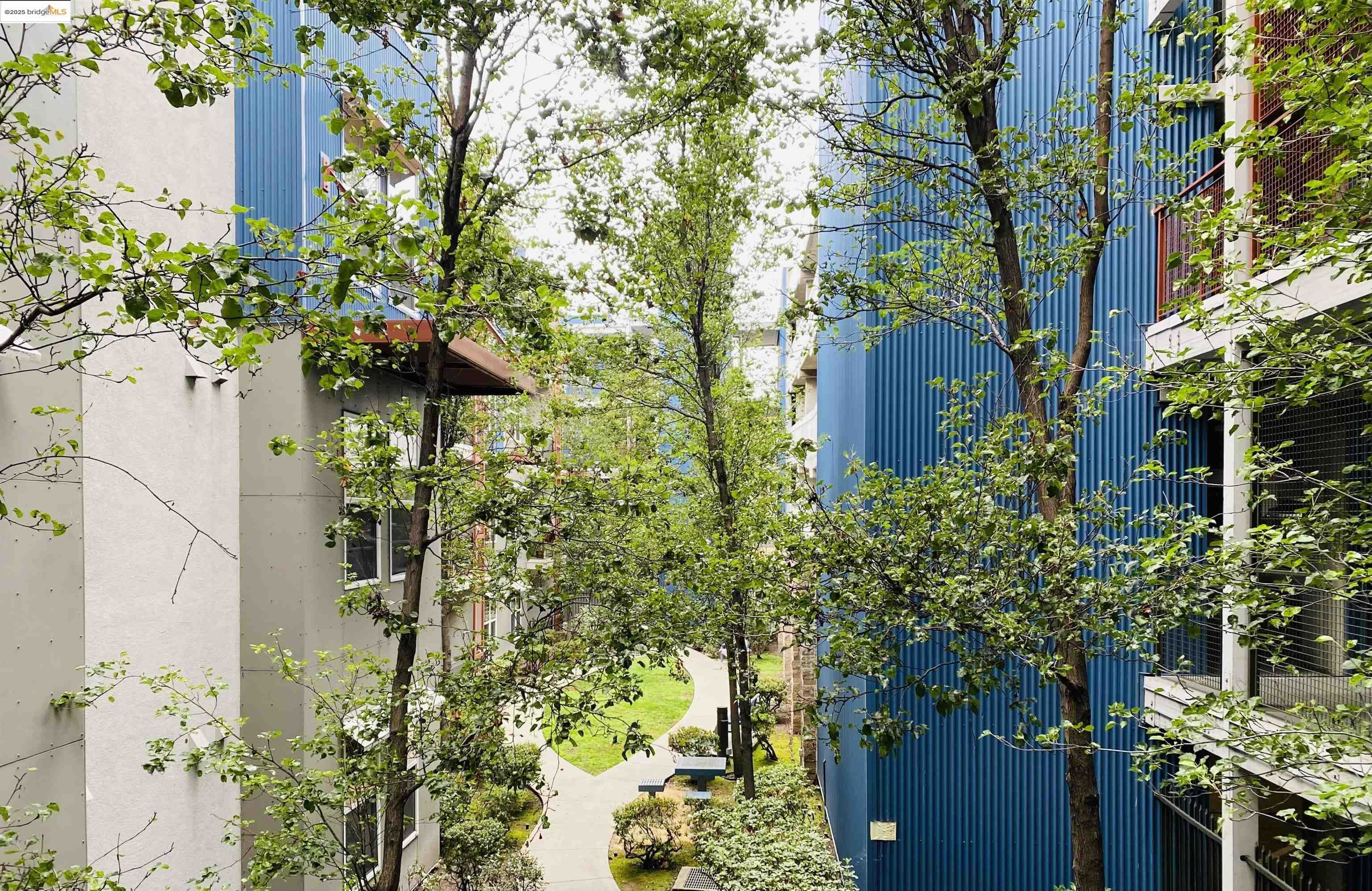 Neighborhood Neighborhood-8