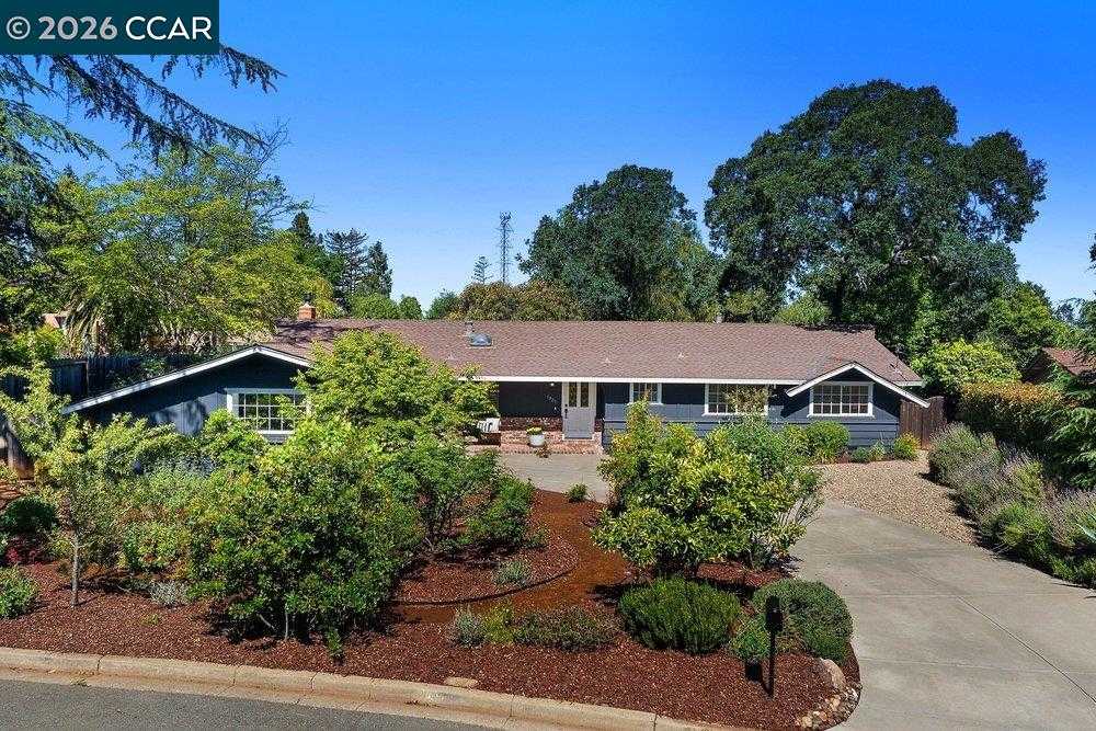 Neighborhood-9