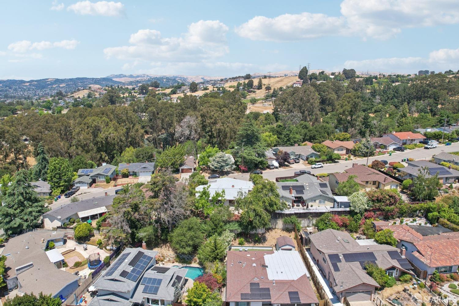 Neighborhood Neighborhood-50