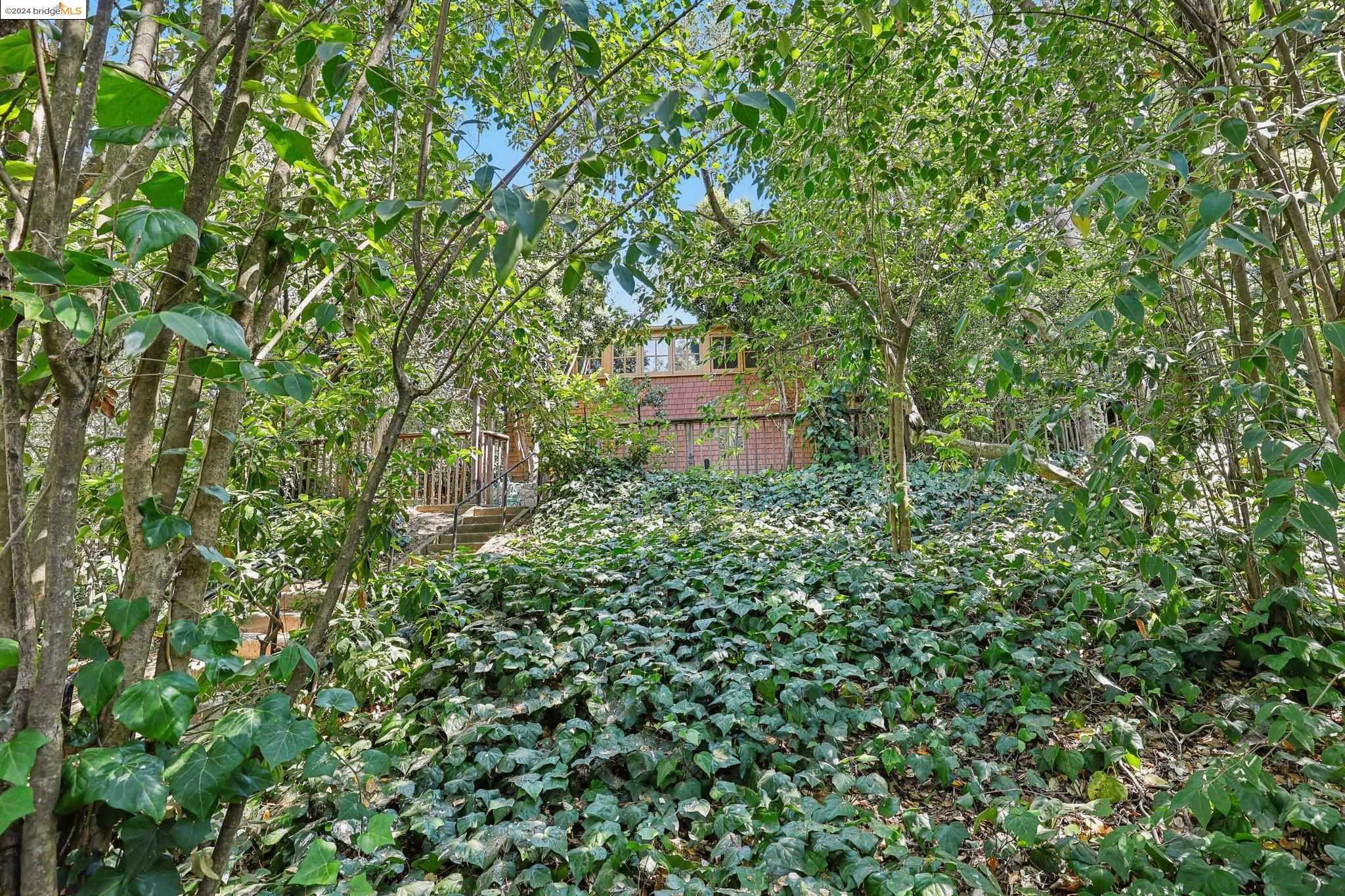 Neighborhood Neighborhood-6