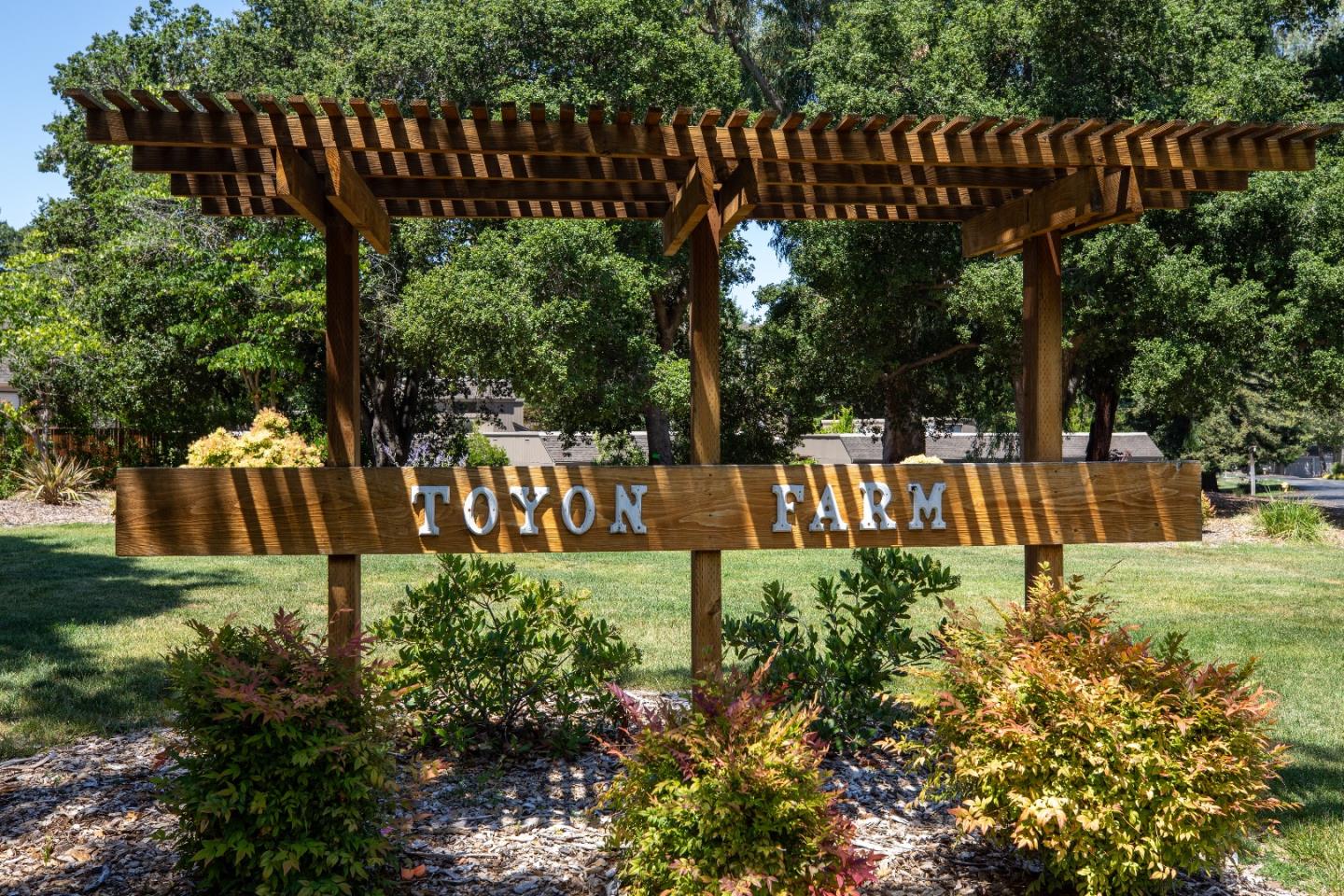 Neighborhood Neighborhood-10