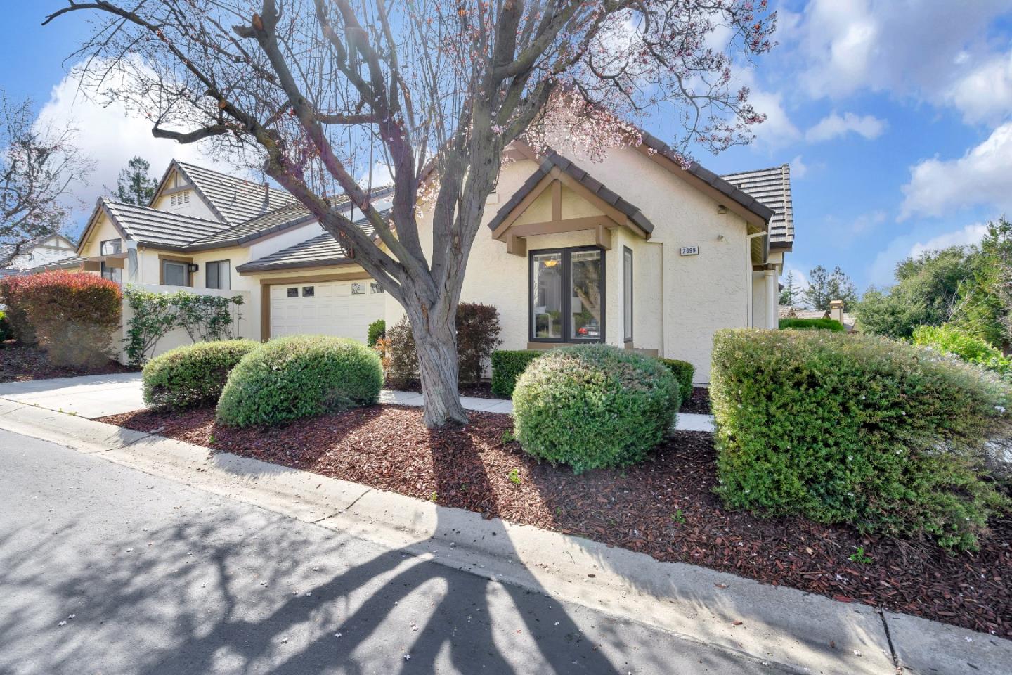 Neighborhood Neighborhood-30