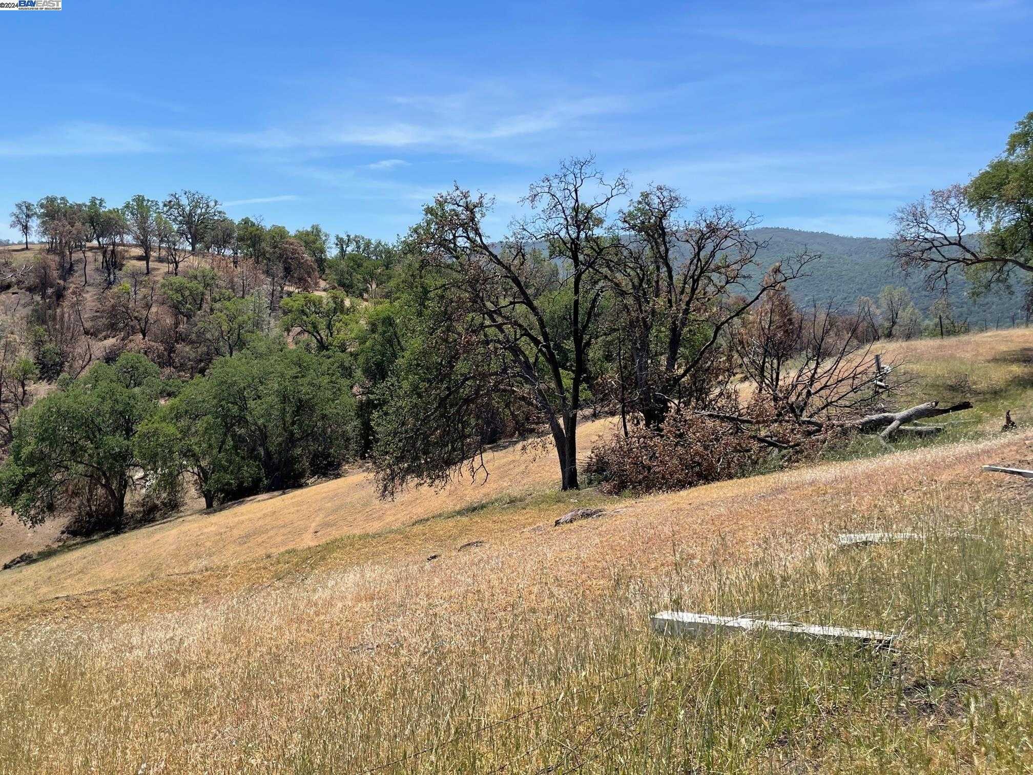 Neighborhood Neighborhood-1