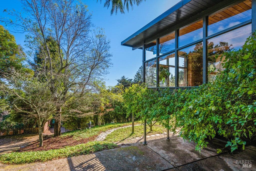 Muir-Woods-Park-Mill-Valley