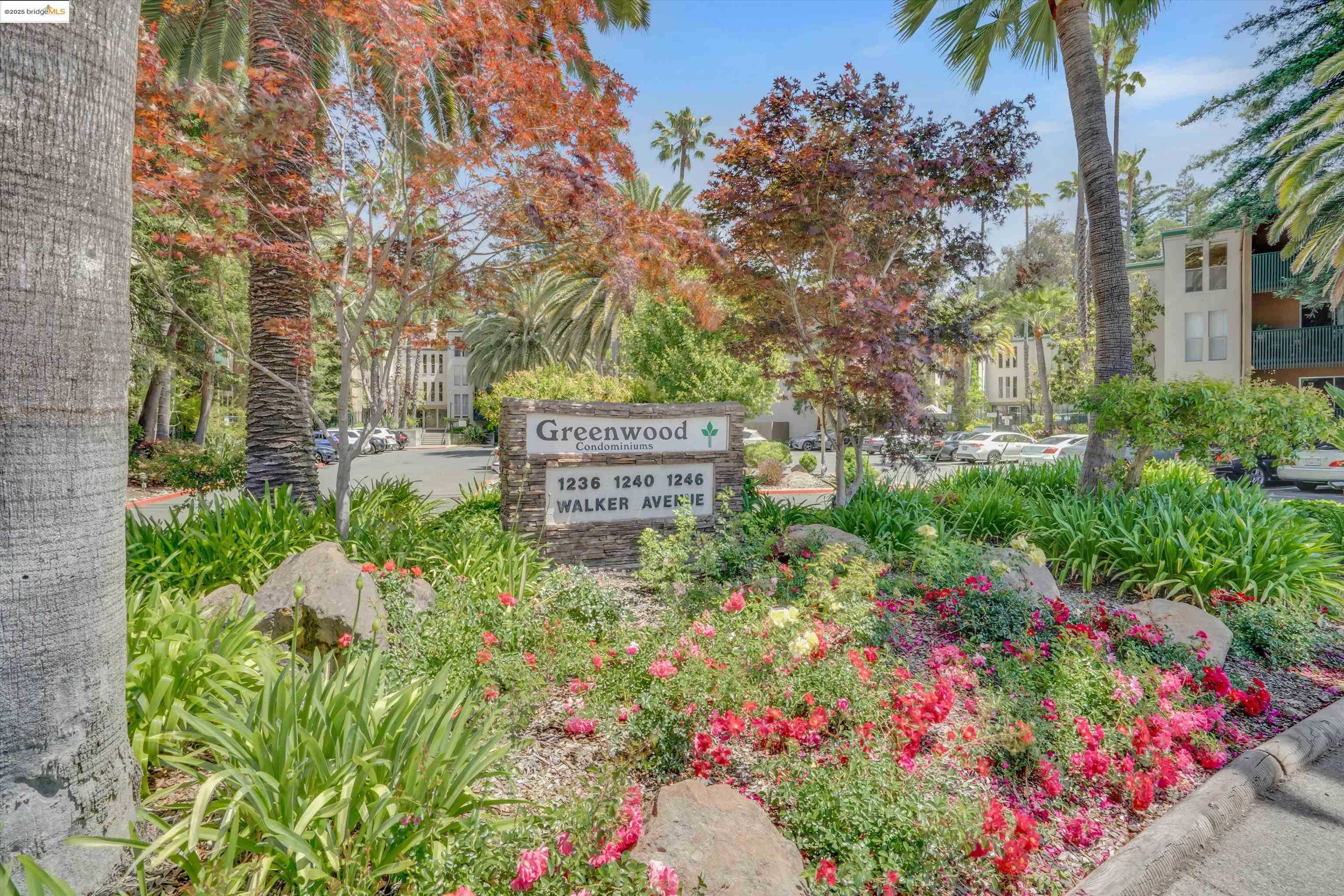Neighborhood Neighborhood-30