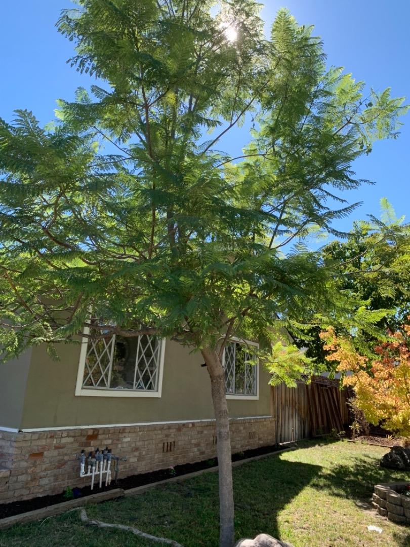 Neighborhood Neighborhood-41