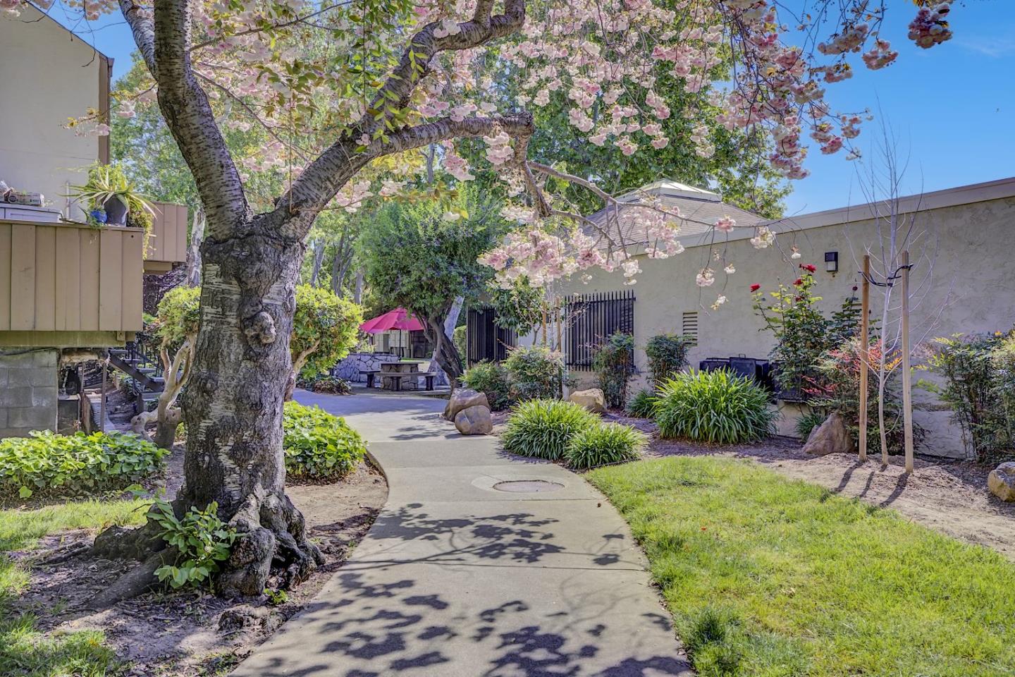 Neighborhood Neighborhood-11