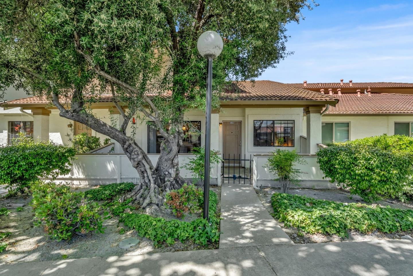 Neighborhood Neighborhood-8