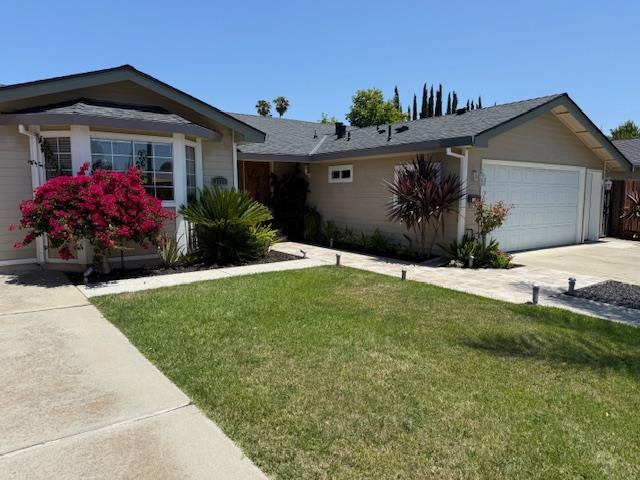 Neighborhood-19