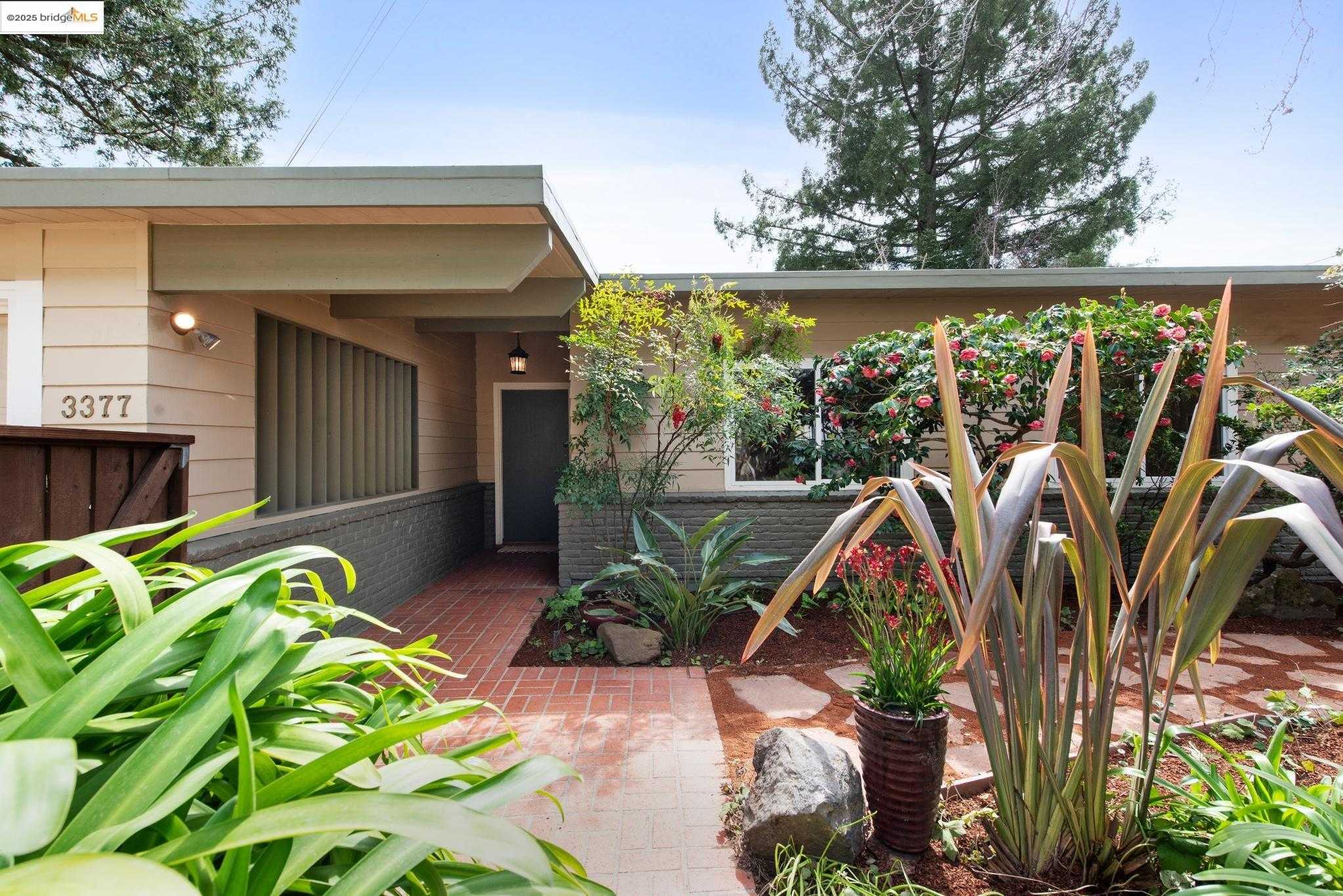 Neighborhood Neighborhood-3