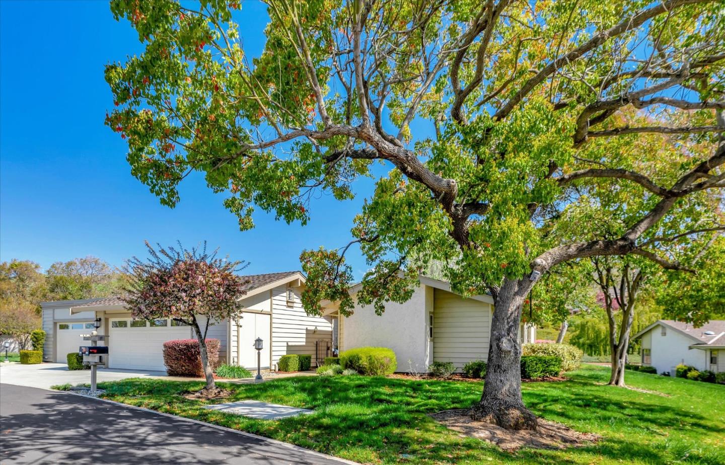 Neighborhood Neighborhood-75